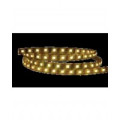 Outdoor Luminaires